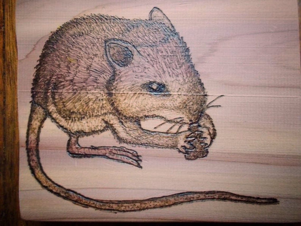 Mouse Woodburning Art Handmade Cedar JumpingMouse Etsy