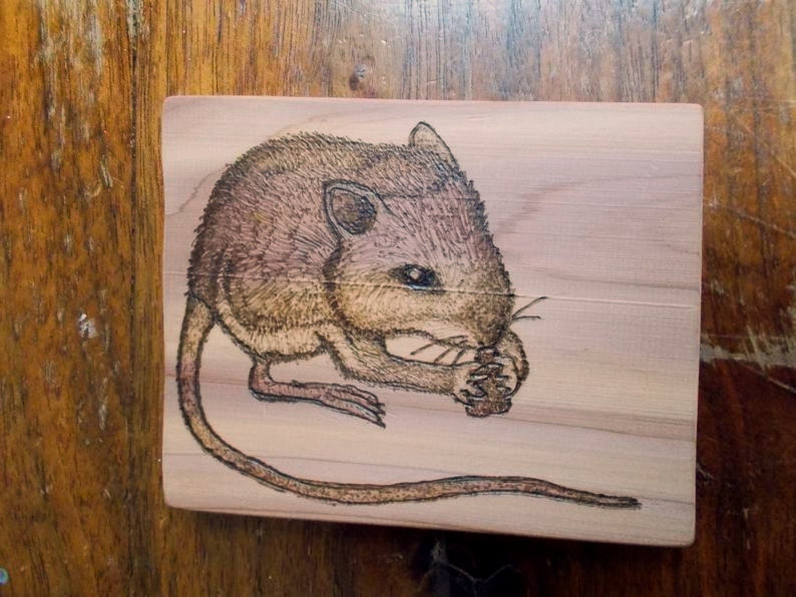 Mouse Woodburning Art Handmade Cedar JumpingMouse Etsy