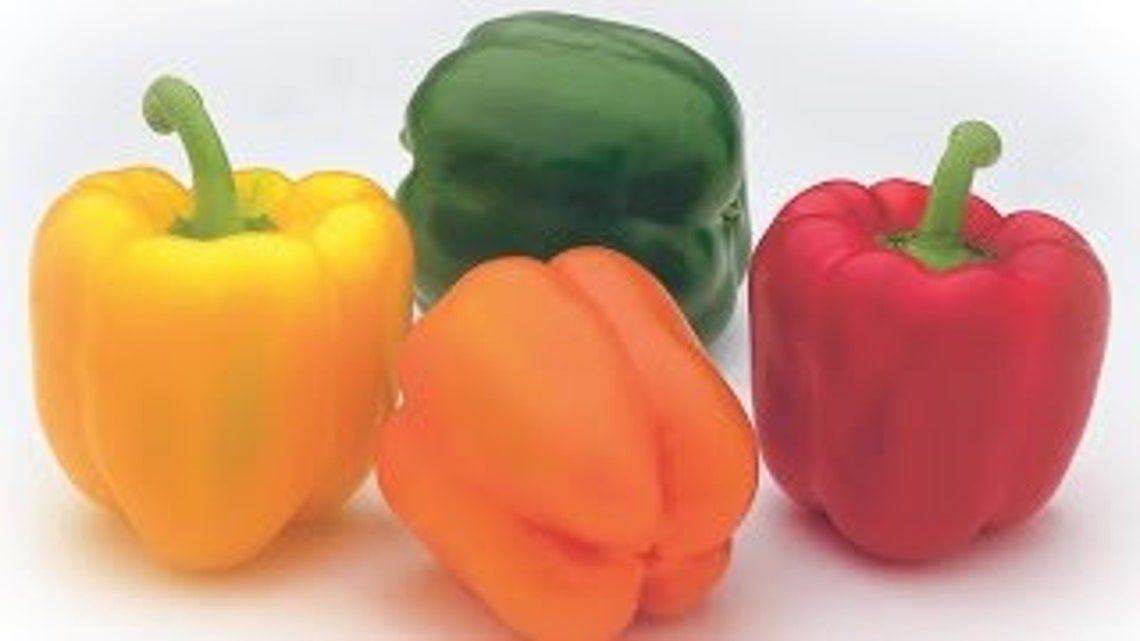 80 Paprika Aji Dulce Samen Rot Grün Gelb Orange. Etsy