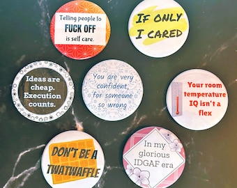 Snarky - magnets / pins / mirrors