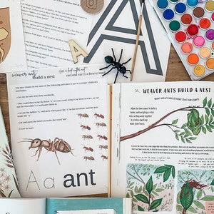 Może przedstawiać: Zbliżenie na książkę edukacyjną dla dzieci o mrówkach tkaczach. Książka zawiera kolorowe ilustracje mrówek budujących gniazdo, a także tekst o ich strukturze społecznej i sposobie współpracy. Książka zawiera również wycinankę dla dzieci, aby uczyć się litery 'A' i słowa 'mrówka'.