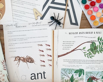 The Complete Slow Down Notebooking Guide