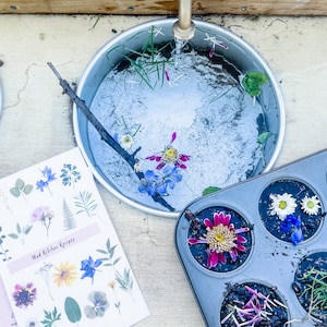May include: A metal sink with a tap and running water. A metal tray with six compartments holds various flowers and leaves. A sheet of paper with the text "Mud Kitchen Recipes" and images of flowers and leaves is on the table.