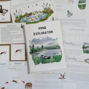 May include: A colourful educational set for children about ponds. The set includes a book, worksheets, and activity cards with illustrations of ducks, mosquitos, and water lilies. The text on the cards includes "Pond Exploration: A Family Study", "Pond Inventory", "Prereading: Pond Visit", and "Prereading: Journaling".