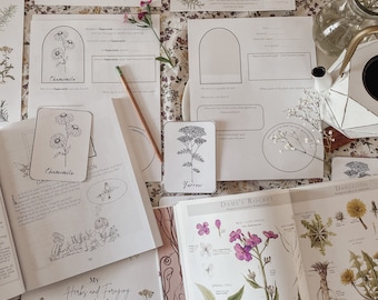 An Introduction to Herbs & Foraging