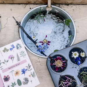 May include: A metal bowl filled with water and flowers, a metal muffin tin with dirt and flowers in each cup, and a sheet of paper with the text "Mud Kitchen Recipes" and images of flowers and plants.