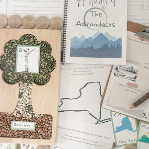 Adirondack unit study