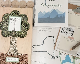 Adirondack unit study