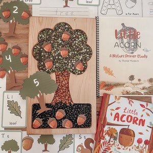 Rooted Homelife Little Acorn Nature Primer - Etsy