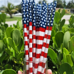 USA Flag Reusable Straw: Patriotic Party Decor, Fourth of July