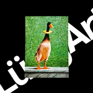 Kunstkarte - Titel: Ente à l’Orange | Geschenk | Dekoration