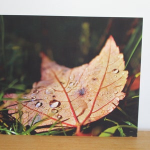 Dewy Leaf in Grass, Fine Art Print, Photography Print, Nature photography, Autumn, Fall