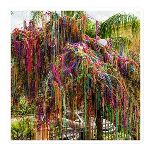 NOLA Tulane Mardi Gras Bead Tree-stickers zonder luchtbellen | New Orleans, Louisiana
