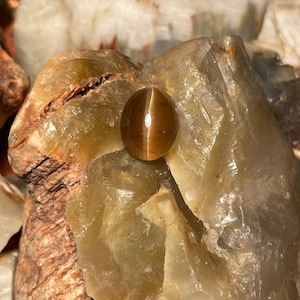 Peut inclure: Un cabochon de pierre de chat œil-de-chat brun et or, avec une surface lisse et arrondie, sur un fond de roches blanches et brunes.