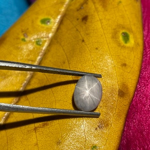 May include: A light gray oval-shaped star sapphire gemstone with a star-like pattern in the center, held by tweezers on a yellow leaf.