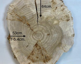 Poplar burl live edge slice 25x21x2.1in". - dry poplar for woodworking