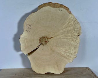 Maple live edge burl slice 18.5x15.7x1.73in" - dried wood for woodworking