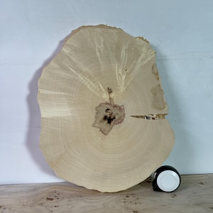 Maple live edge burl slice 16x12x1.33in" - dried wood for woodworking