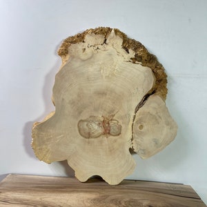 Könnte beinhalten: Eine große, runde, hellbraune Holzscheibe mit einer natürlichen Kante. Das Holz hat eine einzigartige Maserung und eine hellbraune Farbe. Die Scheibe hat einen Durchmesser von etwa 30 cm.