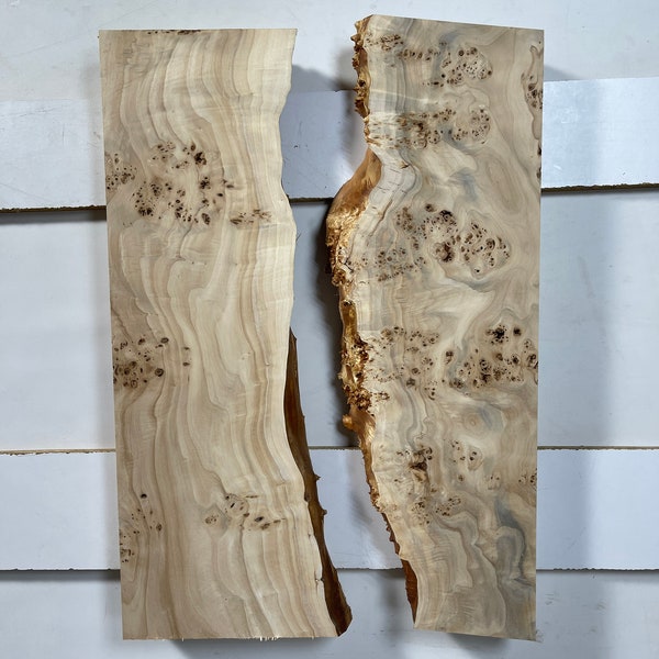 Pair of Poplar Burl Slabs for epoxy table 24.4x17.7x1.96 - dry wood for woodworking
