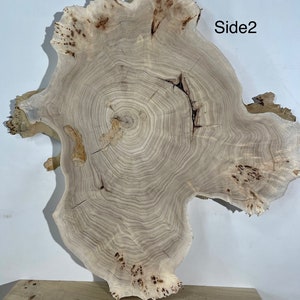 Poplar Burl Wood Slab 30x29x1.96 In Dry Slice for Table - Etsy