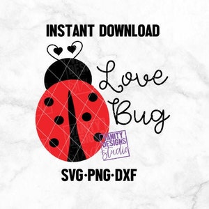 Love Bug Design, Instant Download, Valentine&#39;s Day SVG, Ladybug Cut File, Cricut SVG, Silhouette Cut File, Craft File, Kids Valentine Svg
