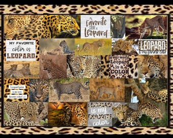 Leopard is my Favorite Color
