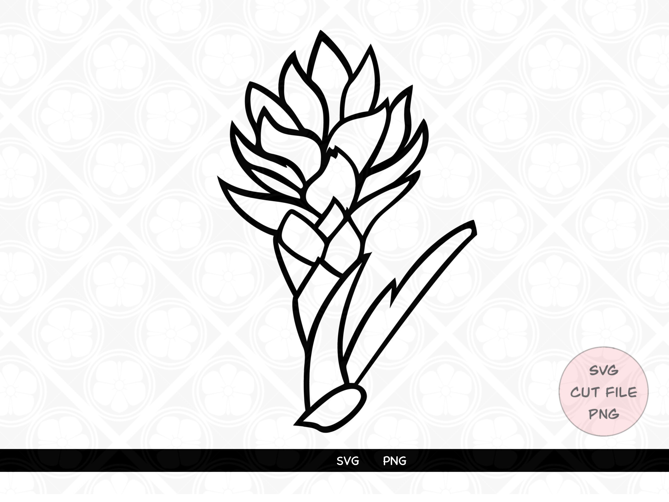 Download Red Tower Ginger Svg Hawaii Flower Svg Hawaii Flower Cricut Etsy