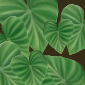 Kalo Hawaiian Taro Leaves Printable Art, High Resolution PNG PDF Instant Digital Download, Wall Art, Craft, Sticker, Sublimation Image image 3