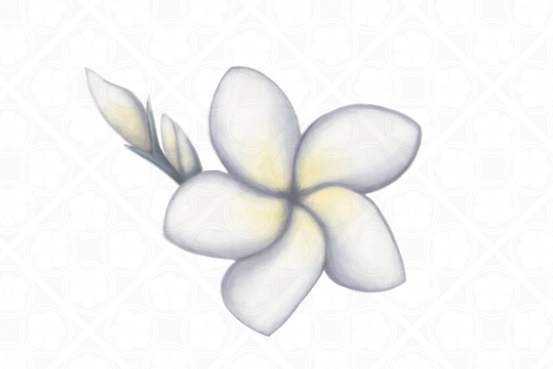 Plumeria Flower Printable Art High Resolution PNG PDF Instant | Etsy