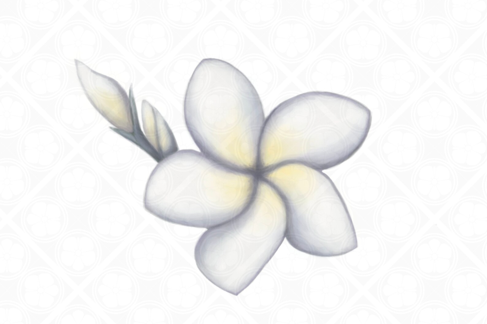 Plumeria Flower Printable Art High Resolution PNG PDF Instant | Etsy