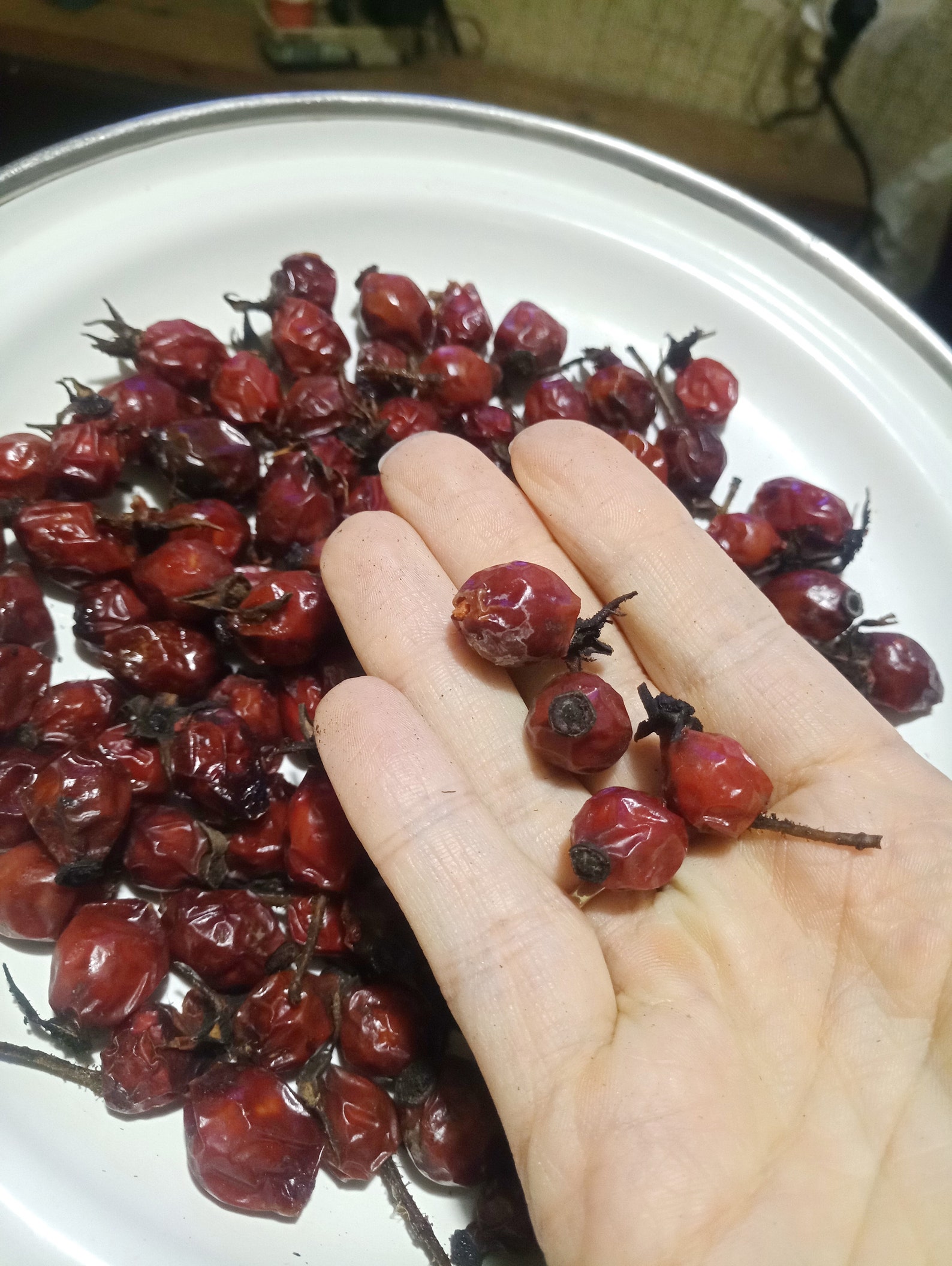 Rose hips dried rose hips whole rose hips dried organic Etsy