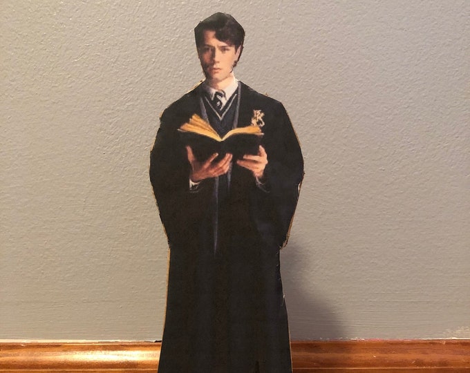 Tom Riddle Mini Cardboard Cutoutharry Potter 10 In Etsy