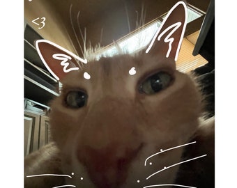 FELINE Cat Mask Commission Slot (READ DESC)