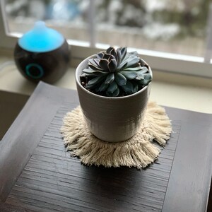 May include: A small succulent plant in a white ceramic pot with a beige crocheted coaster on a dark wood table. The plant is in focus, and the background is blurred.