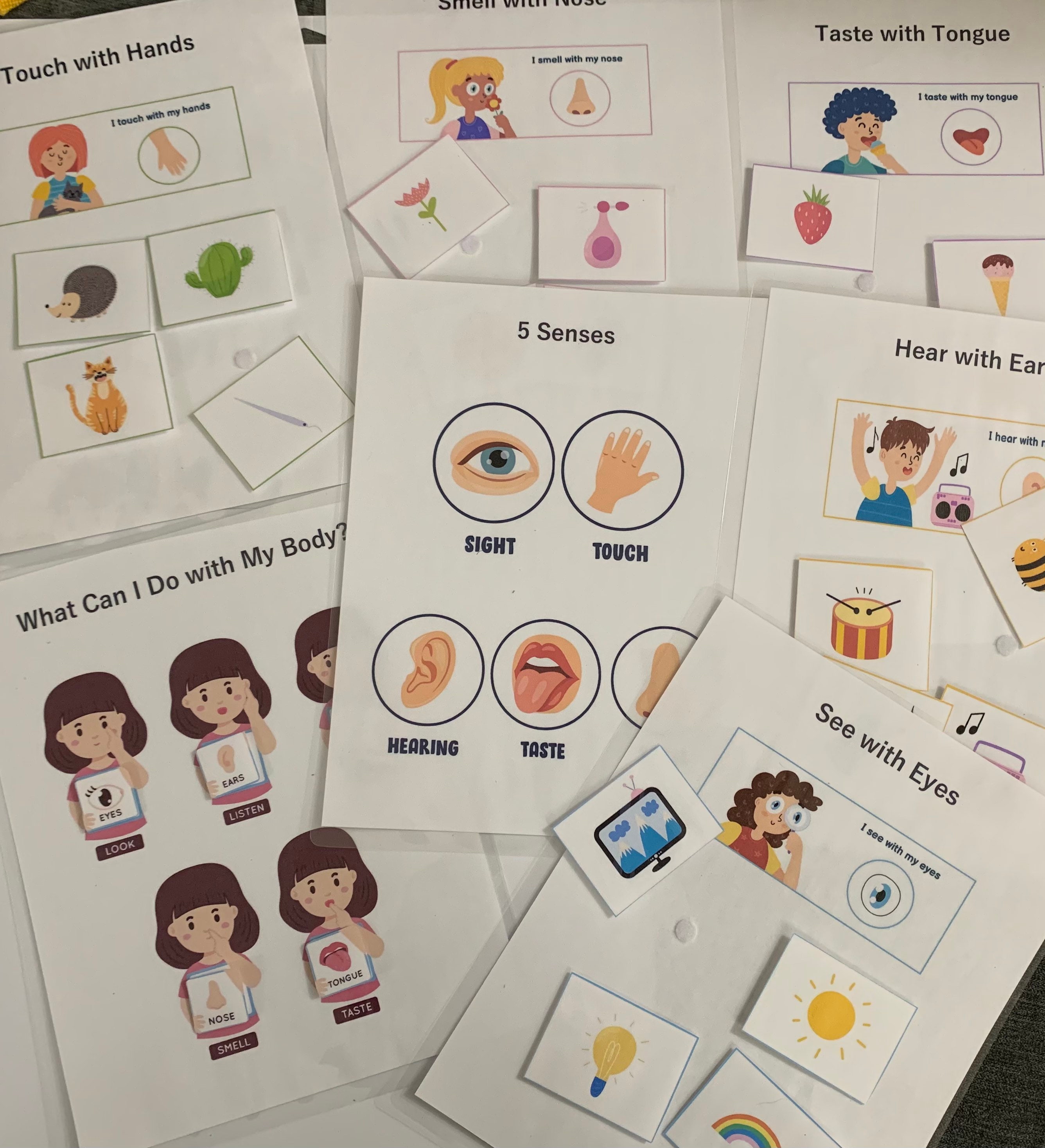 Finished Product Learning Binder/ Body Parts/ Human Anatomy/ Etsy