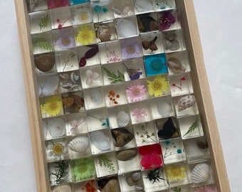 Nature blocks set with tray | reggio, waldorf, Montessori toy | unique one of a kind gift | loose parts | forest school specimen real flower