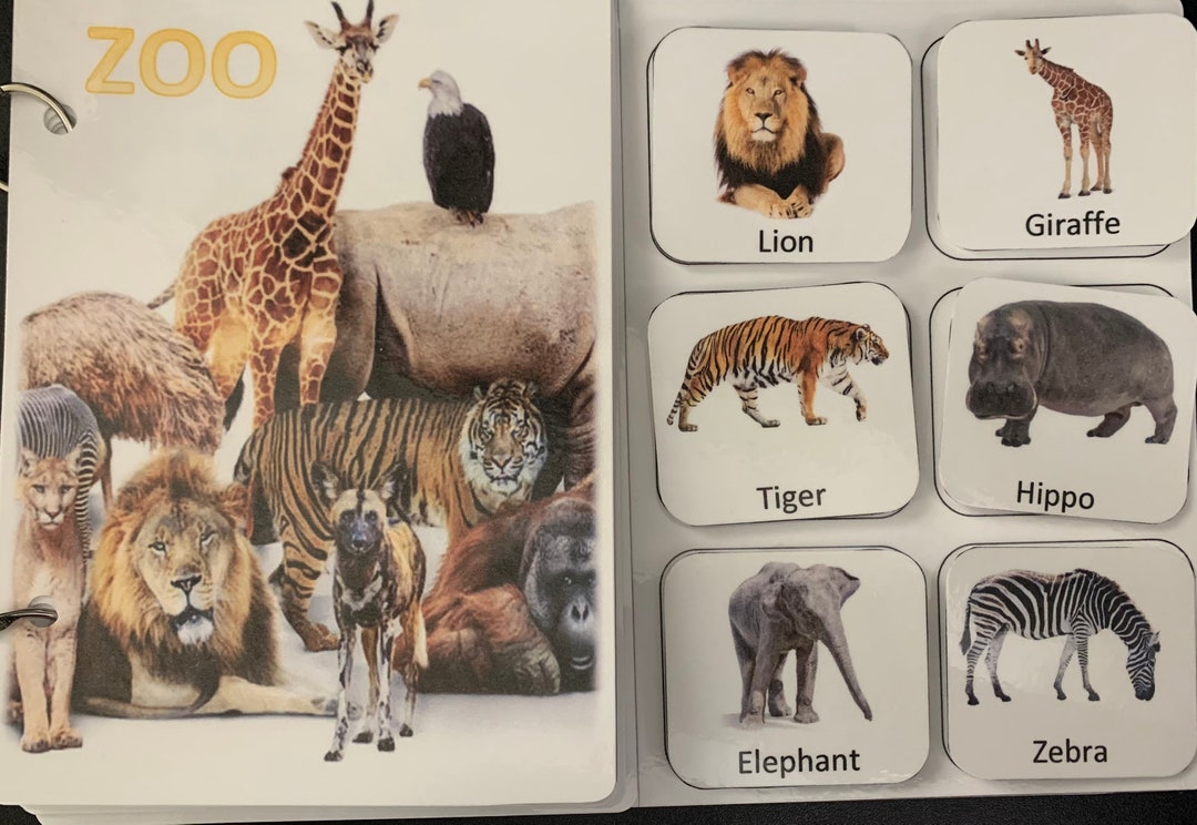 Zoo Busy Book/ Book With Real Images/ Book for Autism or Etsy