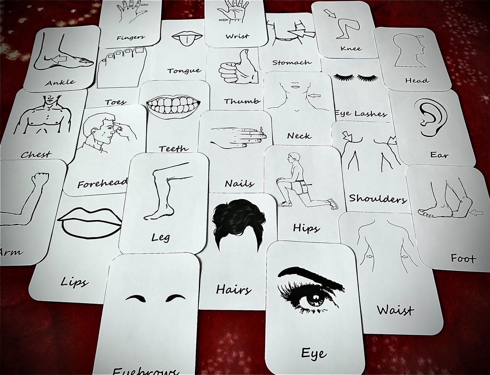 Human Body Parts, Face Parts, Flash Cards, Black and White, Montessori