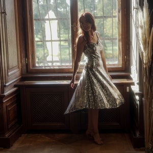 Tango Ballroom Latein Ballkleid - Scaly Silver Farbe mit schwarze zweite Lage