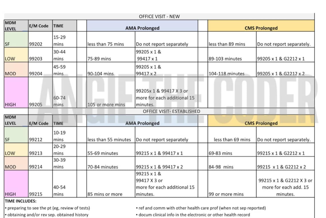 2021 E/M Guide Printable Etsy