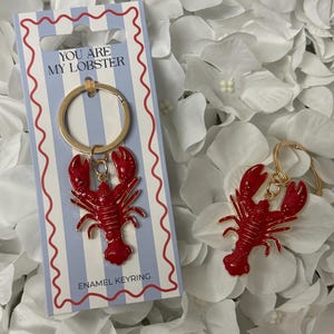 May include: A red lobster enamel keyring with gold-coloured hardware. The keyring is attached to a blue and white striped card that reads "YOU ARE MY LOBSTER" and "ENAMEL KEYRING". The lobster charm is a bright red colour.
