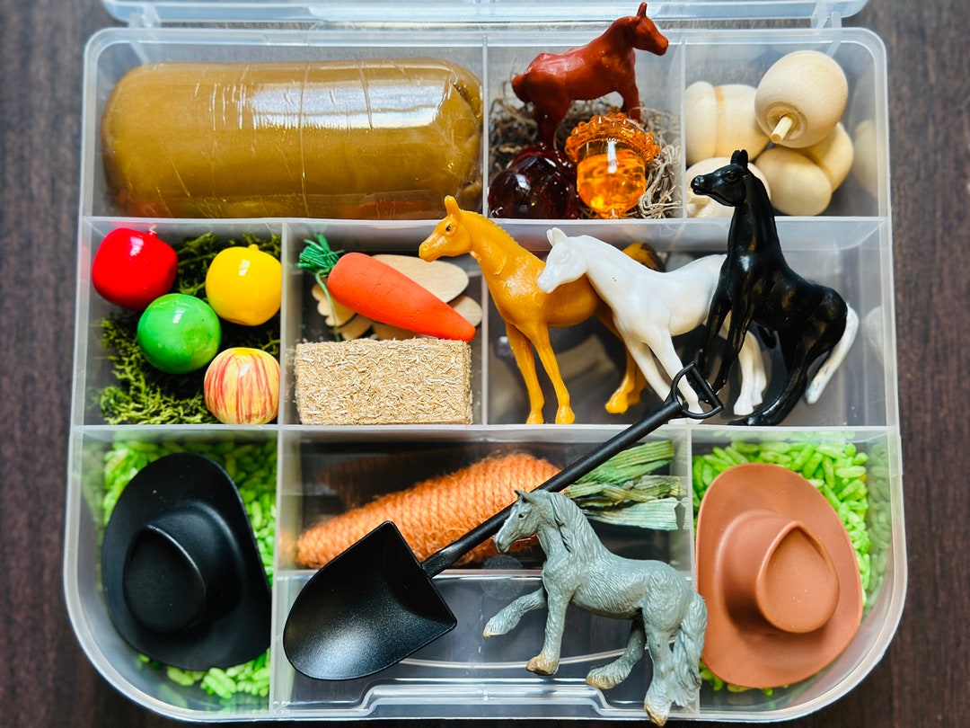 Horse Sensory Kit: Ranch Playdough Kit for Kids/toddlers - Etsy