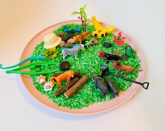 Jungle Safari Loose Parts & Rice Sensory Bin Kit