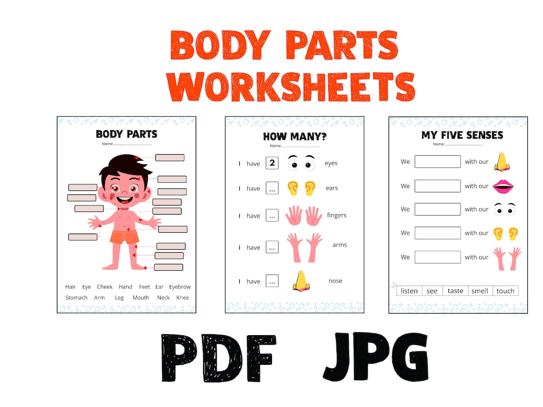 Body Worksheets, Body Parts Worksheets for Kids, Printable Worksheet, Practice Sheets, Body