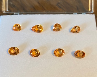May include: A collection of eight orange gemstones in a white display case. The gemstones are in various shapes, including oval and pear.