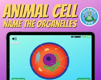 Animal Cell Name the Organelles | Labelling Self-marking Boom Cards Activity | Distance Learning Science Lesson Plan