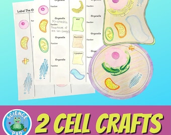 BUILD A CELL Craft | Plant and Animal STEM Craftable | Life Sciences Interactive Activity | Lesson Plan for Middle School Classrooms |