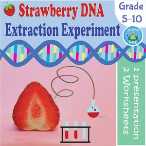 DNA Extraction Strawberry Lab | Easy Prep | Worksheets | Science | Homeschool | Experiment | Middle School | Digital |