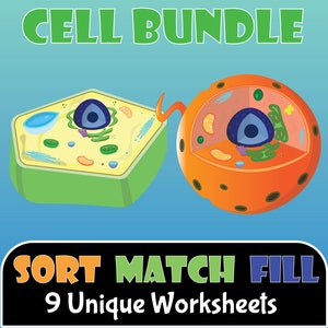 Cell Diagram Package | Organelle | Animal Cell | Plant | Biology | Eukaryote